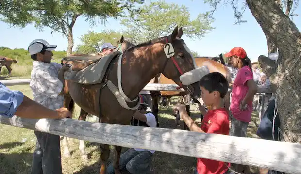 Siete carreras cuadreras en la pista de “Arroyo El Cura”