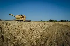 Entre Ríos lidera el crecimiento de exportaciones en la Región Centro