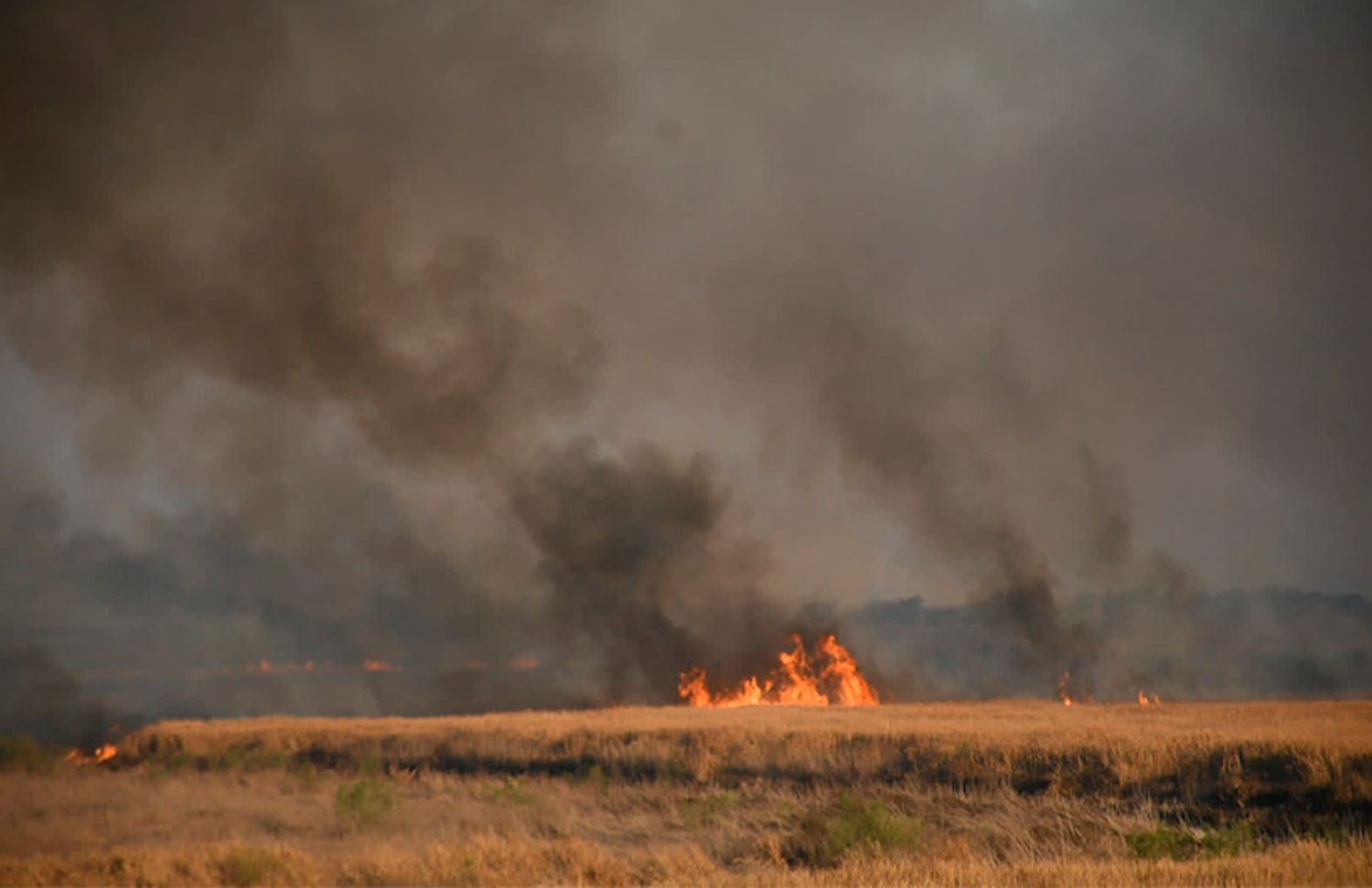 La provincia buscará fortalecer los trabajos contra los incendios forestales