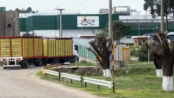 Derrumbe del consumo: otra avícola en crisis parará su producción y enciende la alarma entre los trabajadores