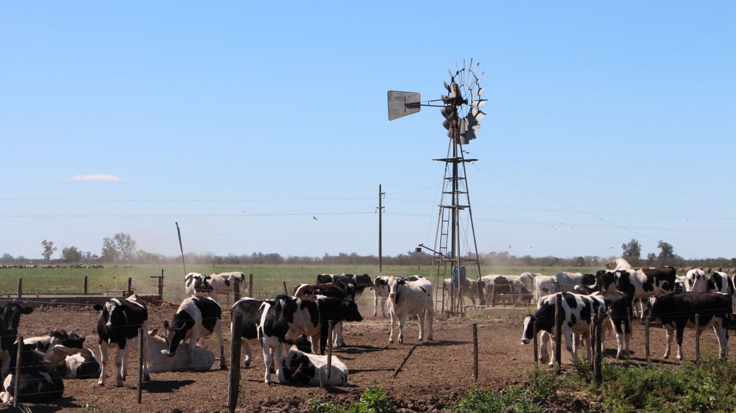 La línea de financiamiento de reactivación productiva para productores agropecuarios sigue vigente