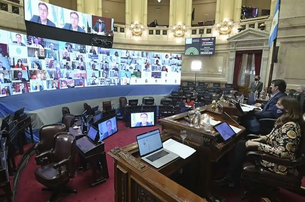 La Bicameral analiza el decreto que anula la intervención de Vicentin