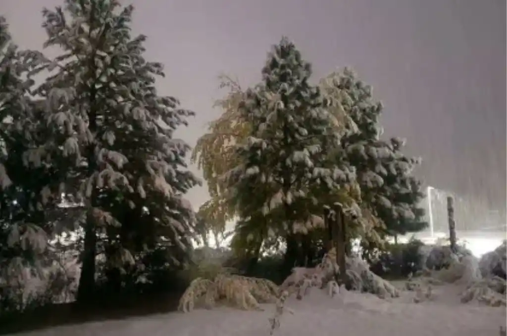La semana arrancó nevando en La Patagonia
