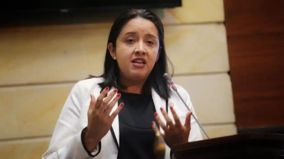 La frontera con Colombia solo está abierta para las mafias de Maduro, denuncia Gaby Arellano