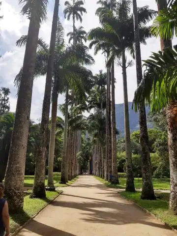 Diana Palavecino- Gabriel Benedetti: Lugares emblemáticos de Río de Janeiro
