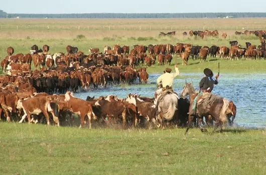 Macri elogió «el compromiso del hombre de campo con el país»