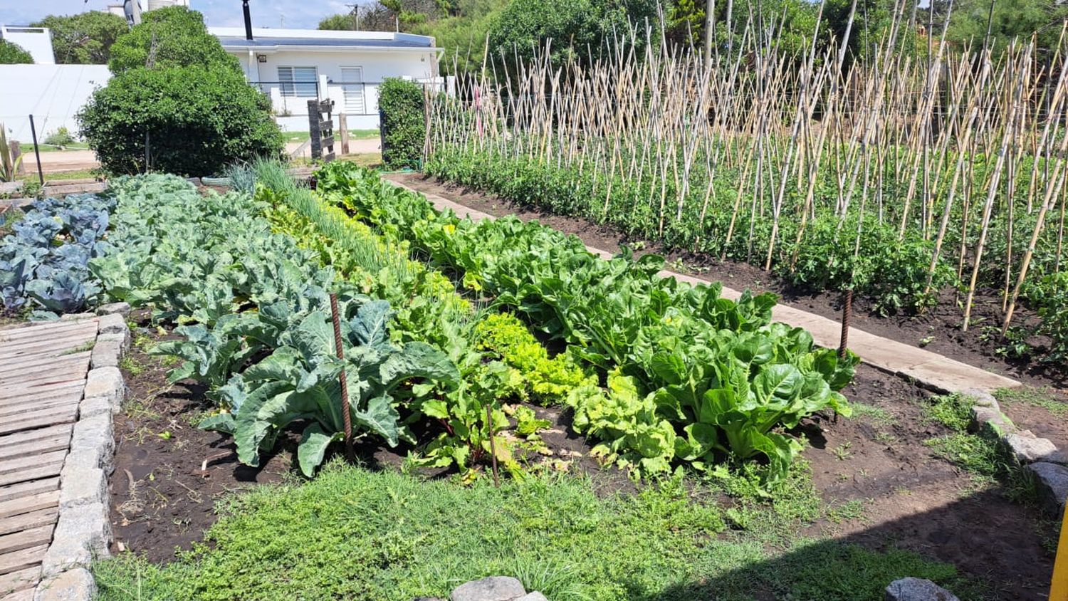 Rotación de suelo. Uno de los principios de la agroecología