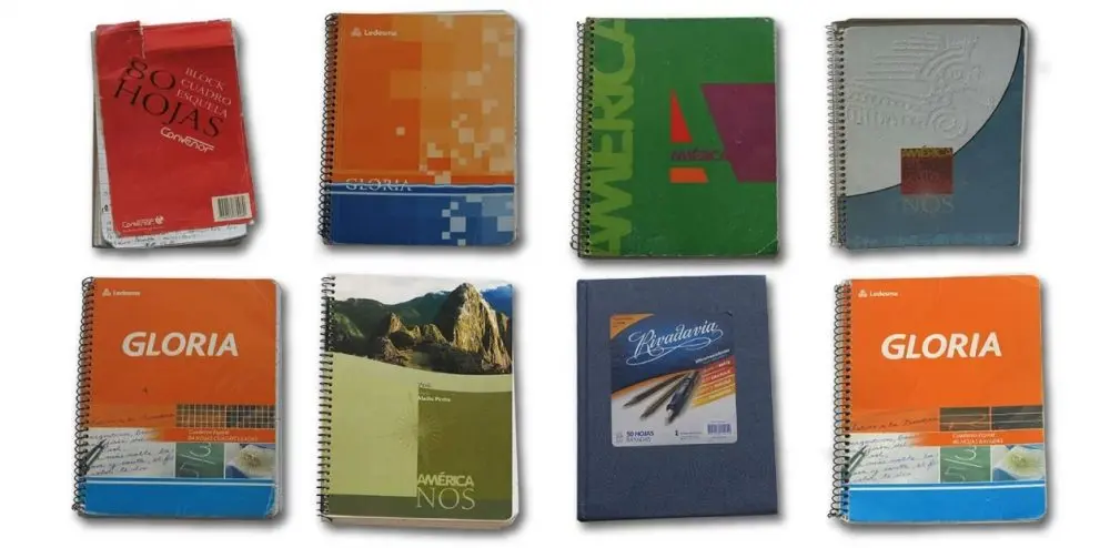 La Justicia confirmó que los cuadernos son los originales de Oscar Centeno