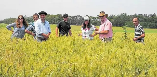 Los productores están peor que el año pasado pero le tienen fe al 2019
