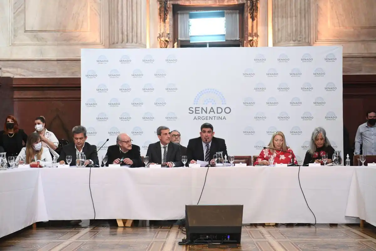 Comienza en el Senado el tratamiento del proyecto de inversiones para la industria automotriz