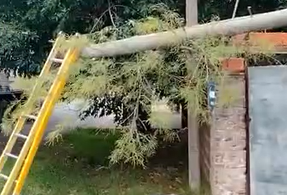 Camión tiró tres postes de luz en Rivadavia e Irlanda