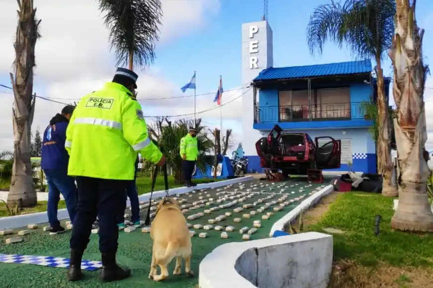 Con el trabajo de la perra Jana, secuestraron más de 90 kilos de marhuana en un vehículo