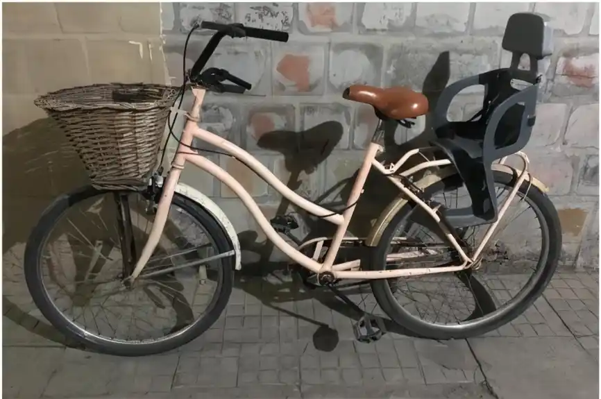 Detuvieron a un delincuente tras robar una bici de una vivienda
