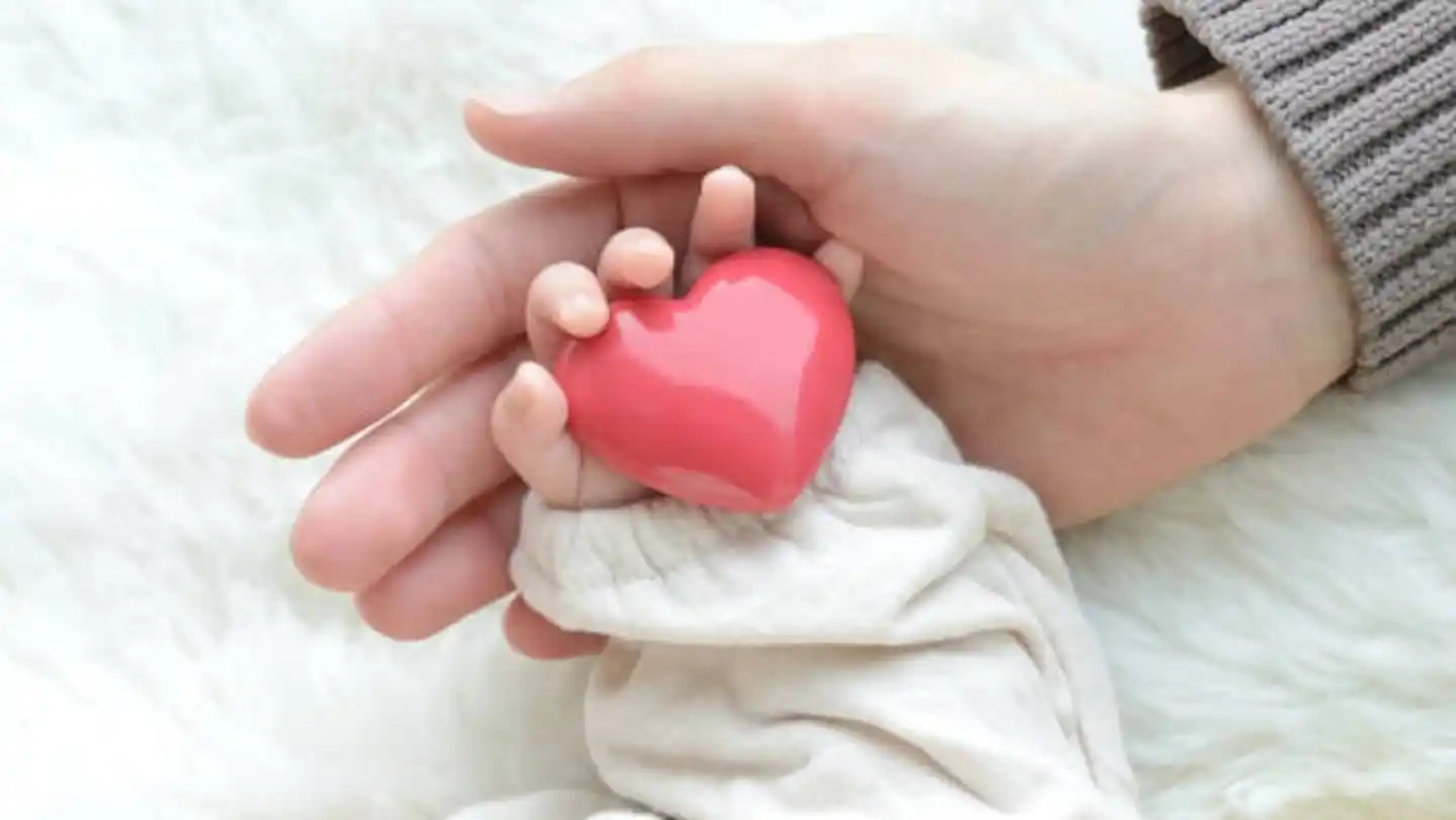 Día Mundial de las Cardiopatías Congénitas: 150 procedimientos fueron realizados en la provincia durante 2025