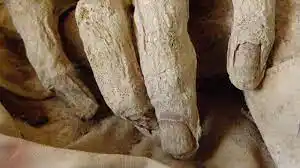 ¡MUY ASOMBROSO! Un hombre momifica a su madre de 89 años