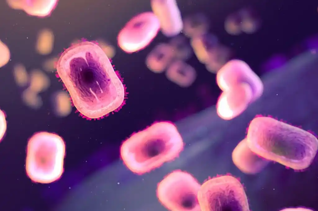 La viruela del mono podría transmitirse también por vía aérea