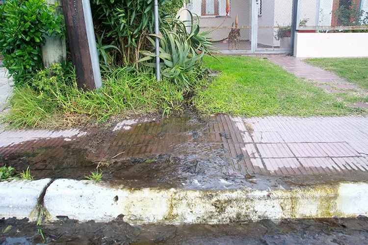 El cuidado del agua debe estar en la agenda de hoy