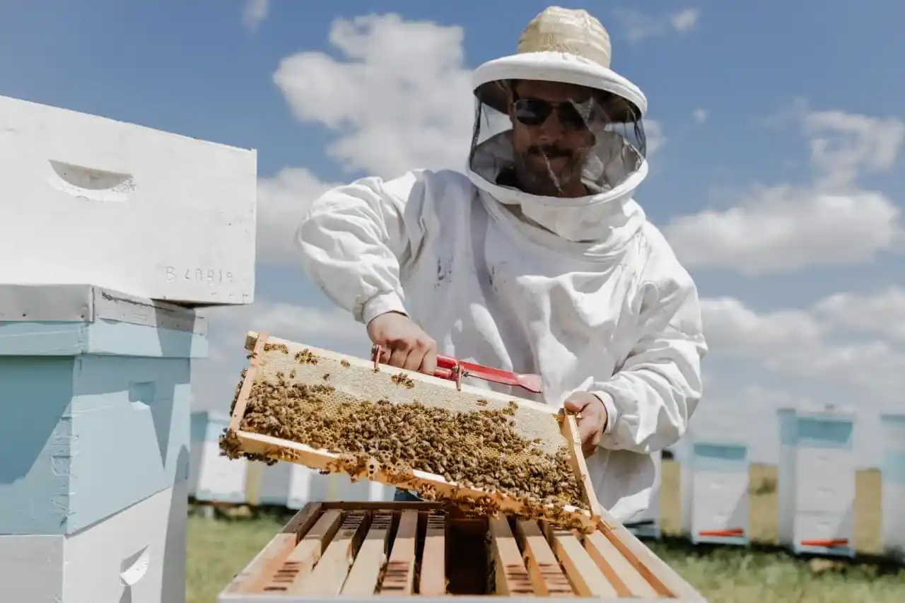 La propuesta busca generar un espacio de intercambio entre disertantes, productores y actores del sector apícola.