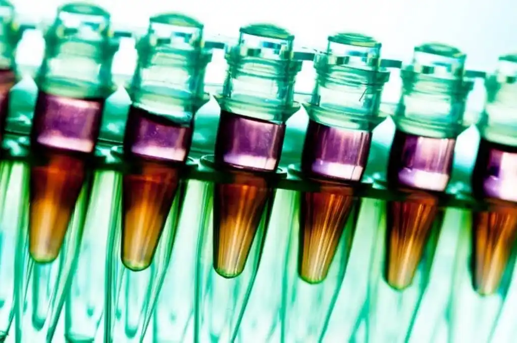 La vacuna podría comenzar a ser aplicada a los grupos vulnerables a fin de este año