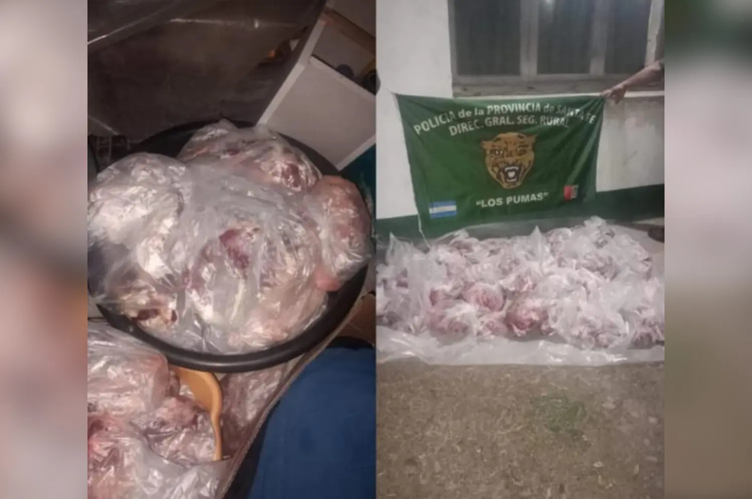 Faenamiento sin autorización: secuestraron carne transportada sin documentación