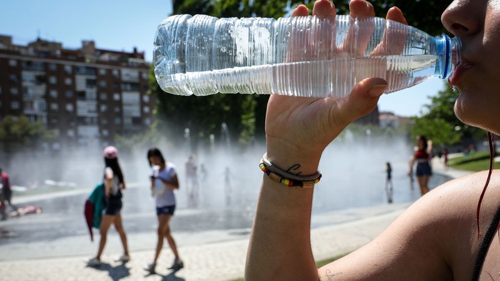 Ola de calor en la Provincia: Las temperaturas podrían superar los 40°C