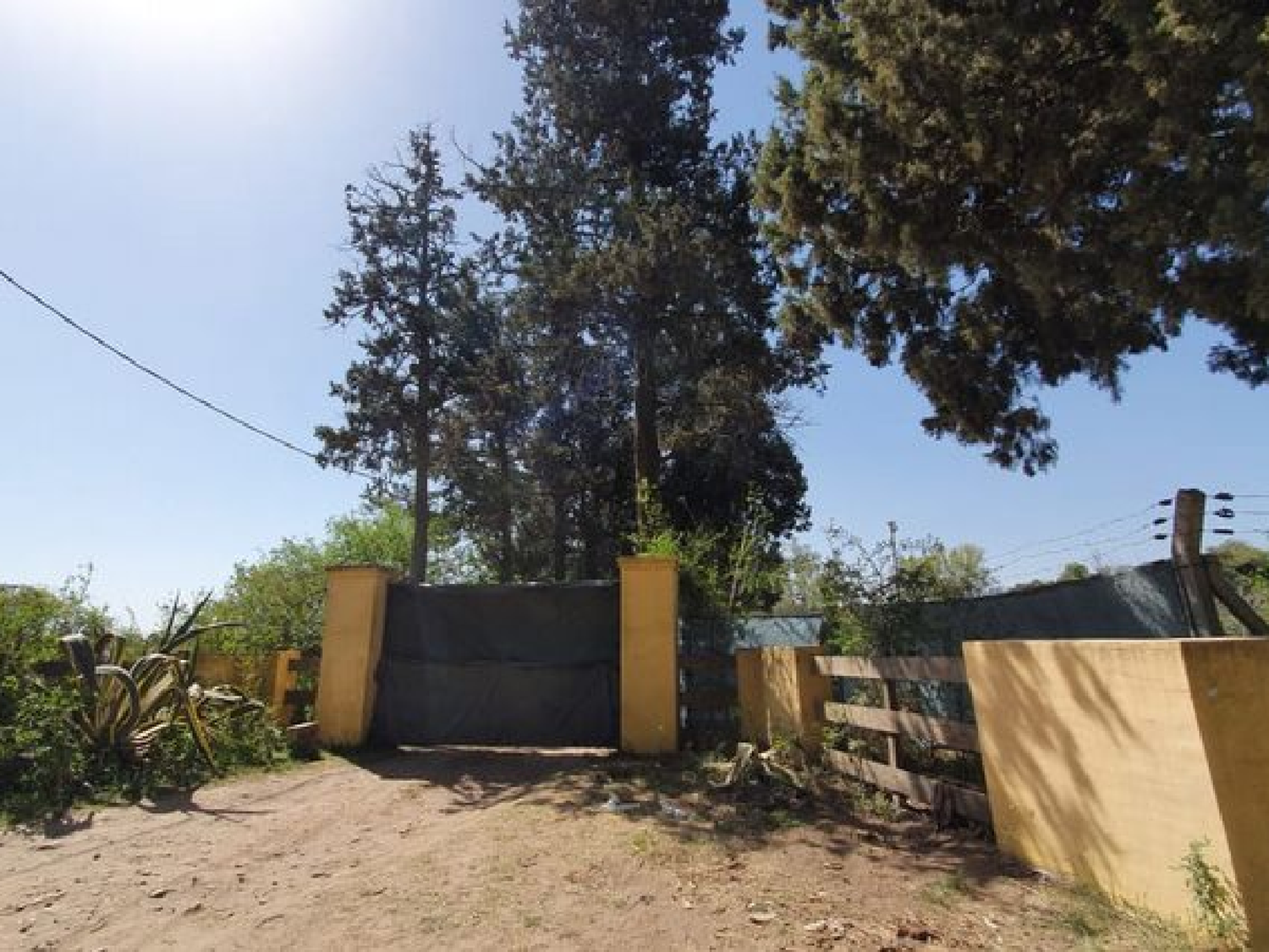 Córdoba: Prisión preventiva para organizadores de la fiesta ilegal