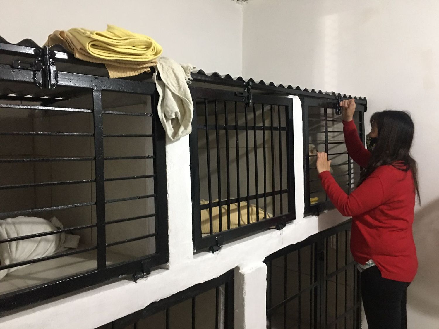 Móvil: esta semana comenzó a funcionar el Departamento Canino