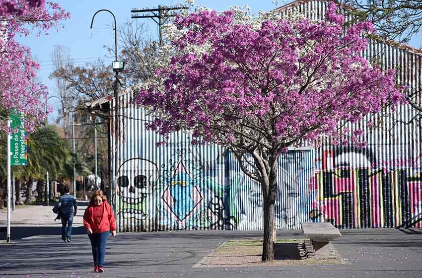 Julio se despide con una jornada húmeda y nubosidad variable en Rosario