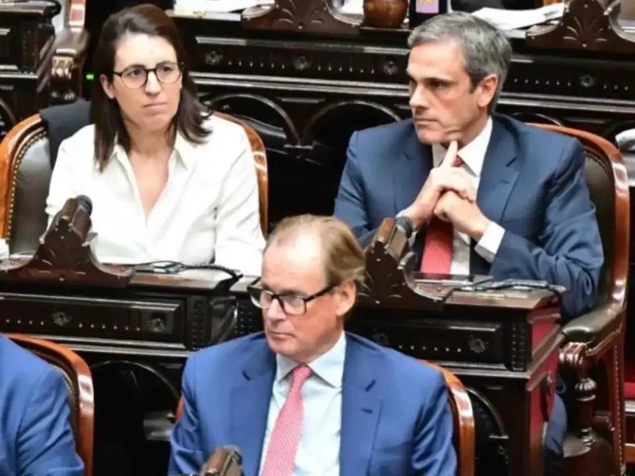 Michel, Marclay y Bordet votaron a favor de la ley que endurece las penas contra el vandalismo rural
