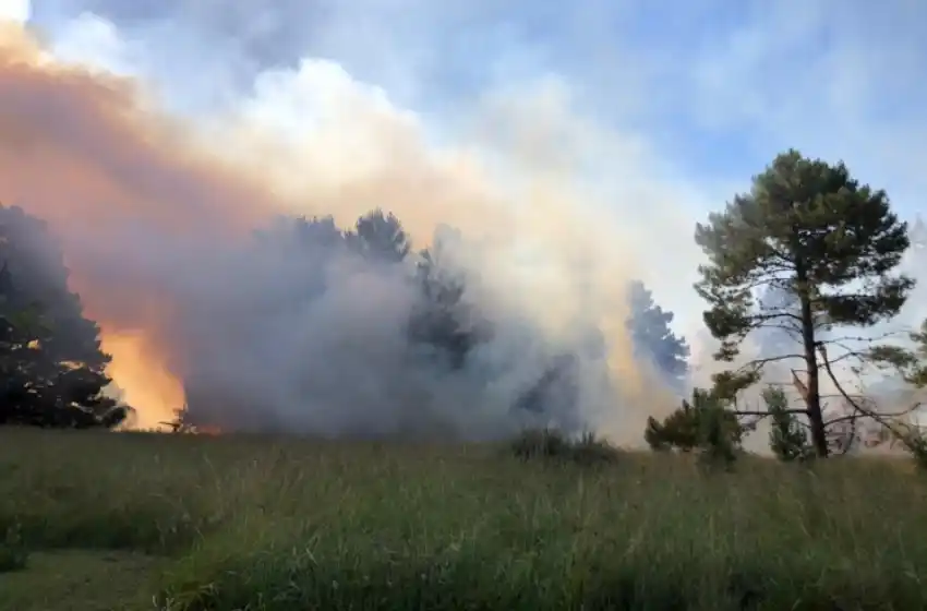 Se incendió el Bosque de El Marquesado