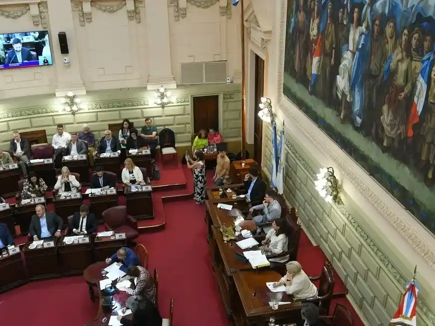 La medida fue aprobada por el Cámara de Diputados. Foto: Manuel Fabatía