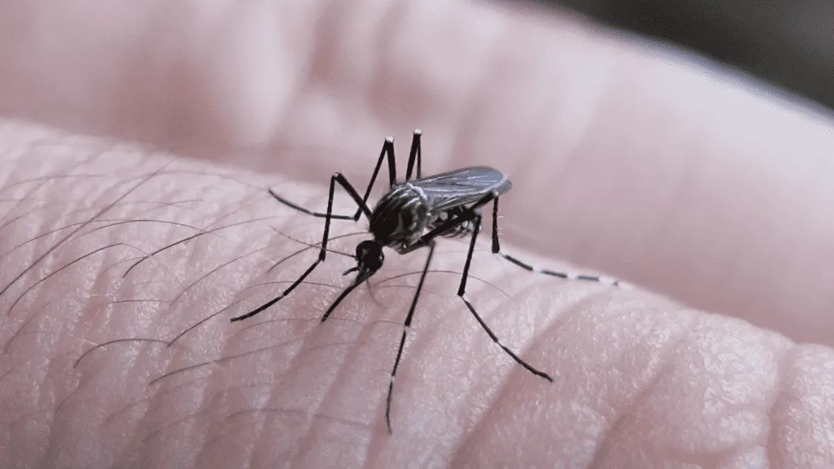 Para el director de Salud, Victoria es zona de alto riesgo por dengue
