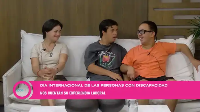 Día Internacional de las personas con discapacidad: historias de inserción laboral