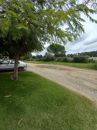 Vecinos de De Pietri al 1100 reclaman por el estado de la calle y advierten por los accidentes
