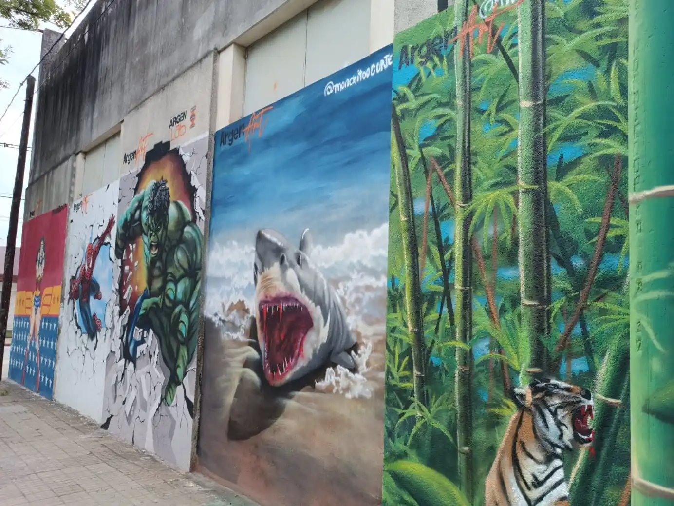 La creación de los murales forman parte de la campaña "ArgenArt"