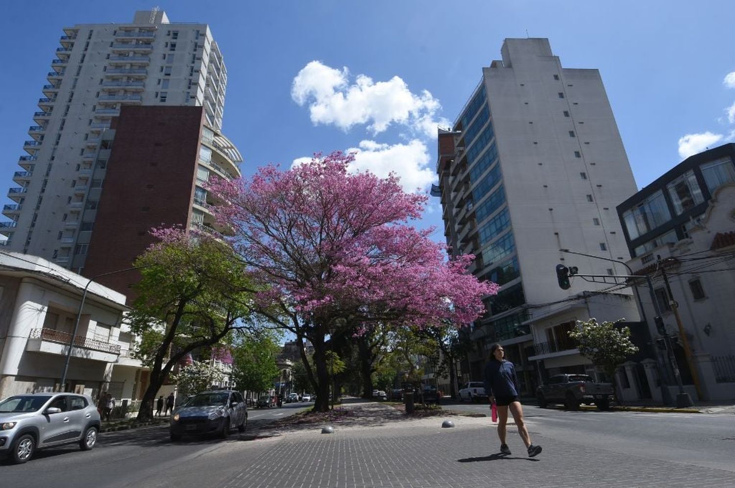 Jornada de viernes con temperaturas cálidas en la ciudad de Santa Fe