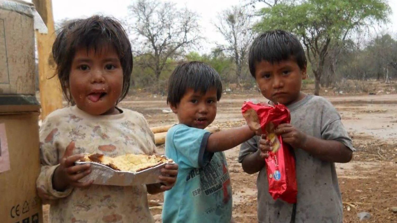 Un 20% de los hogares argentinos tienen problemas para alimentarse