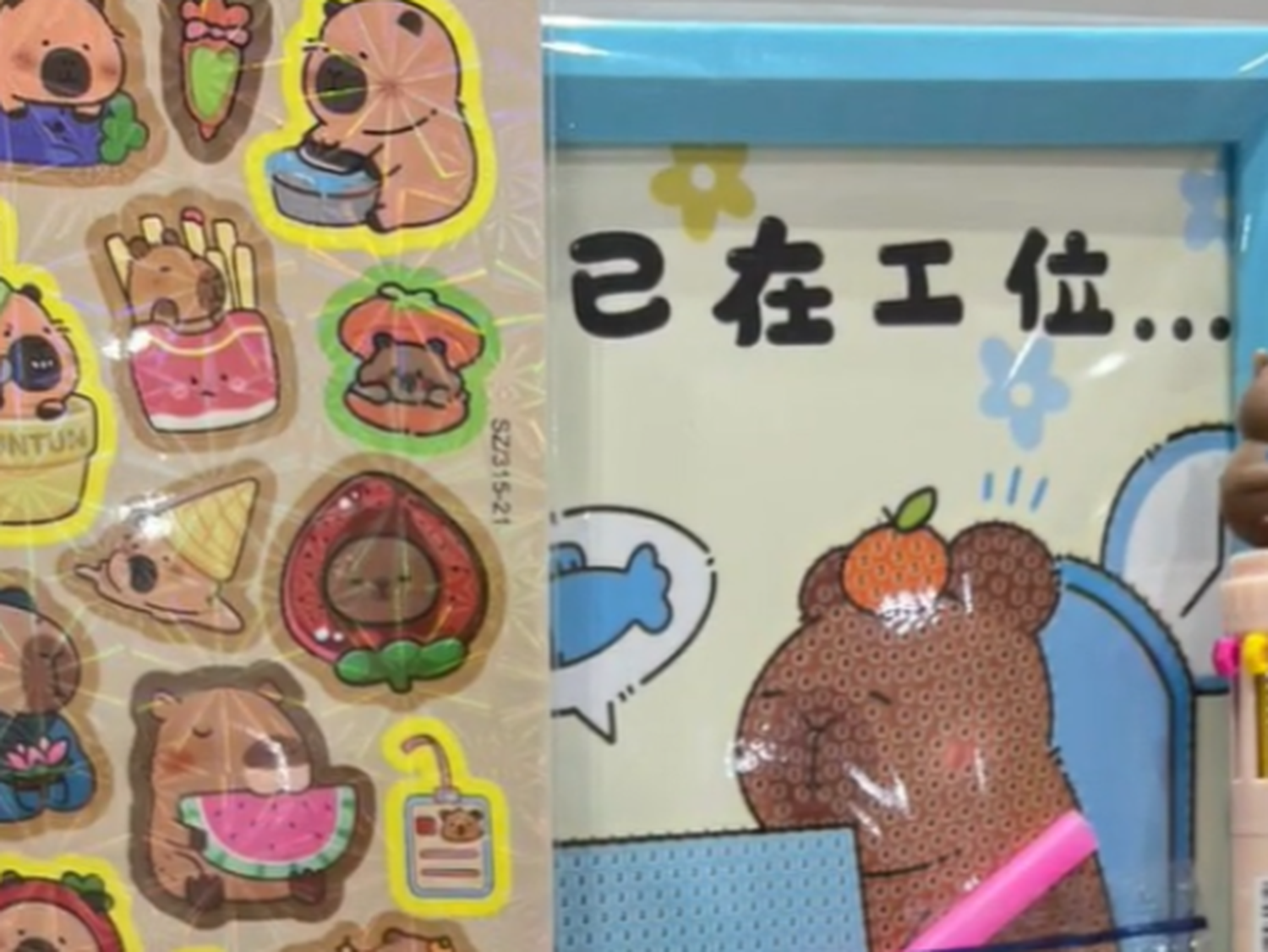 Concursos Sin Galera: Soledad se suscribió a La Opinión y ganó un kit capibara de Pusheen Regalos