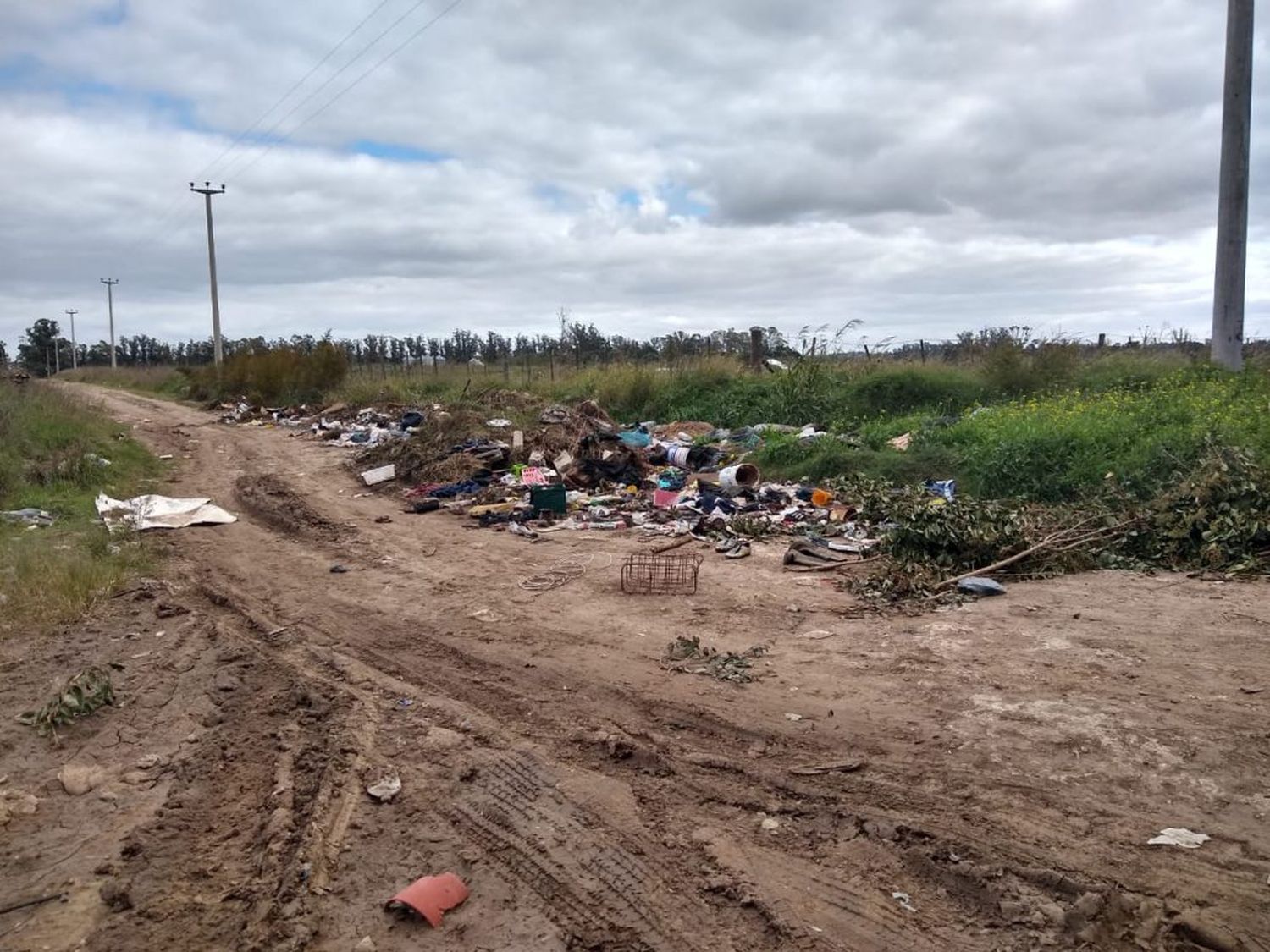 La recolección de residuos será diaria debido al incumplimiento para sacar los desechos