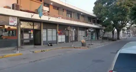 En la terminal también podaron