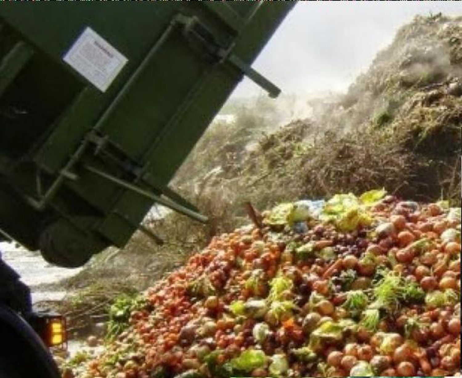 La economía colaborativa vs el desperdicio de alimentos