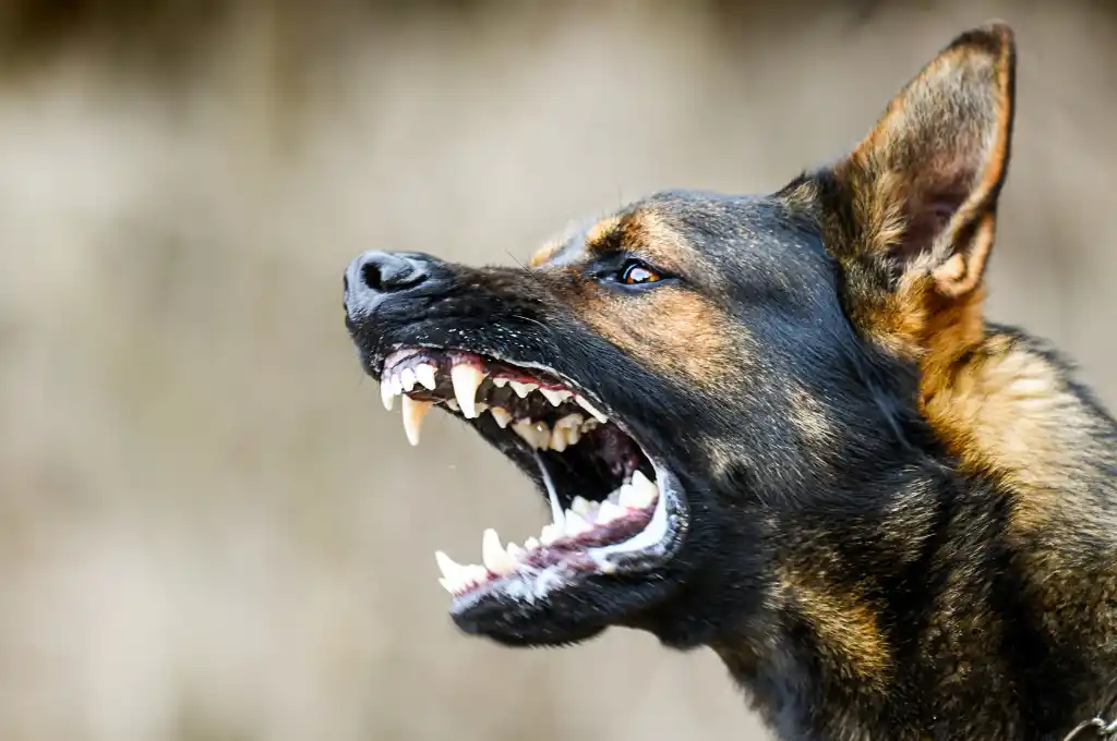 El hombre padece de graves lesiones en su cuerpo.