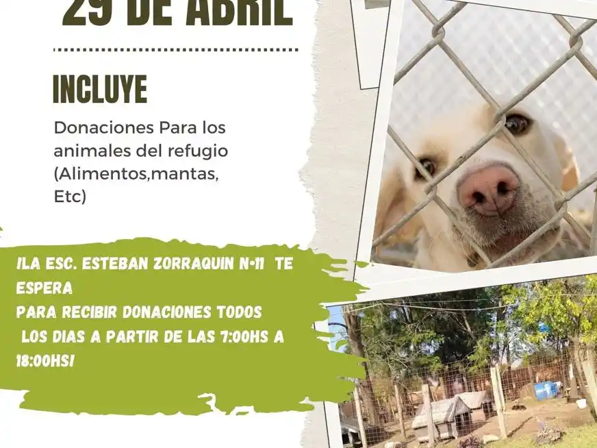 La Escuela N° 11 Esteban Zorraquín recibe donaciones para el refugio de mascotas de La Bianca hasta el martes 29 inclusive