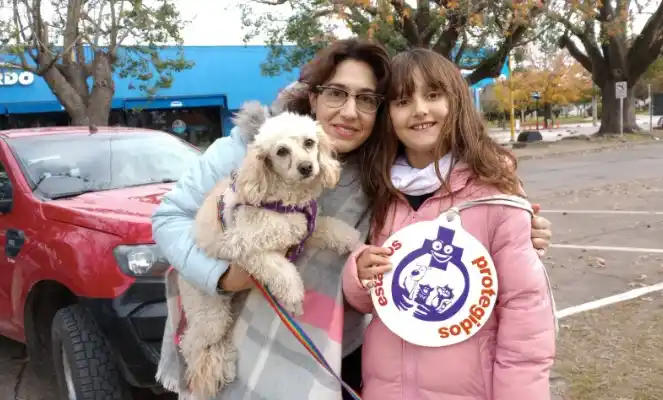 Se esterilizaron 89 gatos y 56 perros. Foto: Municipalidad de Firmat.