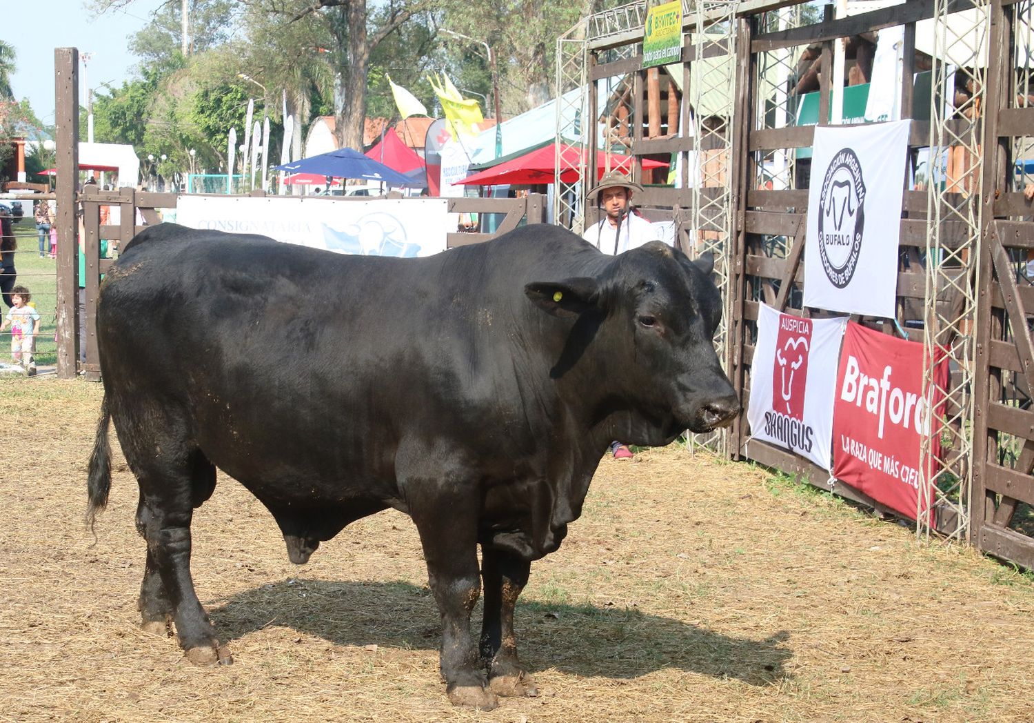 Todo listo para la Expo Rural Formosa 2022