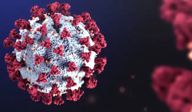 Covid-19: Por segunda semana consecutiva subieron los casos en Argentina