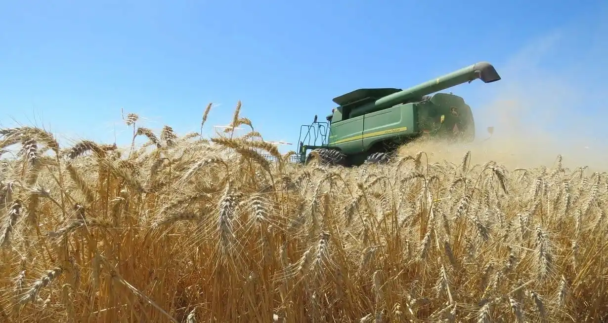 La actividad agrícola fue uno de los motores del primer índice de recuperación de la economía argentina durante el gobierno de Javier Milei.