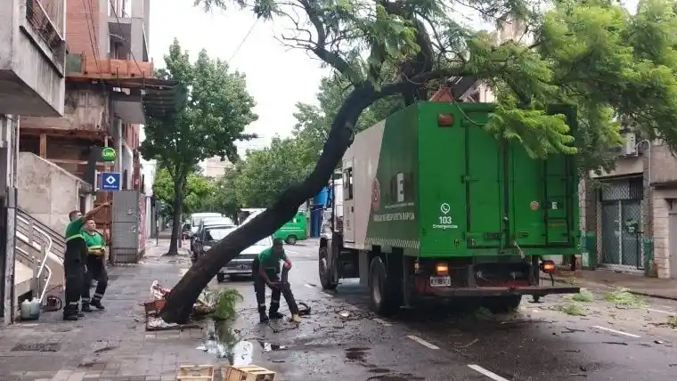 Anegamientos y árboles caídos en  Rosario tras la tormenta