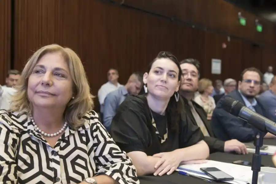 La provincia participó del primer encuentro de los Consejos Federales de ciencia, tecnología y salud 