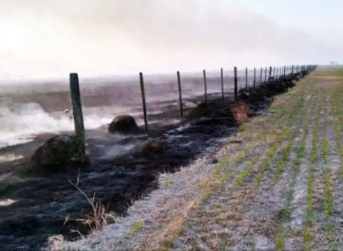 La fuerte sequía afecta al campo y no hay perspectivas de lluvia